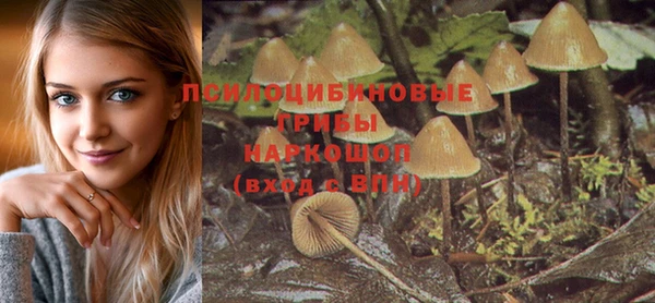 мет Армянск