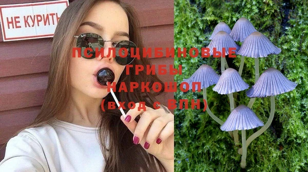 кокс Аркадак