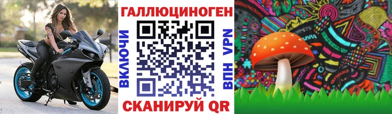 Псилоцибиновые грибы Psilocybine cubensis дарнет шоп Северобайкальск